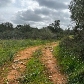 Exklusives rustikales Anwesen in Son Trompa, Campos, mit 52.870 m² Natur