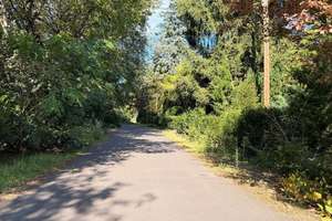 Großzügiges Zuhause in ruhiger Lage - viel Platz & Möglichkeiten in Biesdorf – Die vollständige Adresse der Immobilie erhältst du vom Anbieter., 12683 Biesdorf, Berlin – Vorschaubild 19