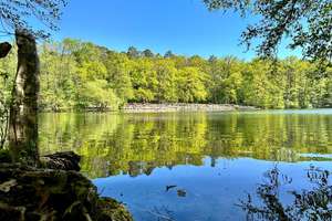 Moderne Neubau Villa mit hochwertiger Ausstattung zwischen Schlachtensee / Grunewald