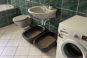2-Zimmer-Wohnung in bahnhofsnaher Lage von Brandenburg an der Havel – Trauerberg 10, 14776 Neustadt, Brandenburg an der Havel – Vorschaubild 6