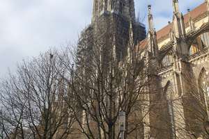3-Zimmer Wohnung direkt am Münsterplatz – Die vollständige Adresse der Immobilie erhältst du vom Anbieter., 89073 Mitte, Ulm – Vorschaubild 11