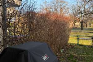 Property thumbnail 14