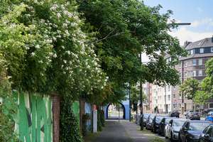 Leerstehend & mietfrei vielfältige Nutzungsmöglichkeiten – Eulerstraße 35, 40477 Pempelfort, Düsseldorf – Vorschaubild 21
