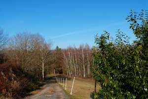 Eging am See: Kleines bezahlbares Häuschen. PROVISIONSFREI! – Ritzging 13, 94535 Eging am See – Vorschaubild 6