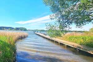 Naturparadies Rheinsberg: Bungalows auf großem Grundstück in Nähe zu zwei wunderschönen Seen – Ostprignitz-Ruppin (Kreis) – Vorschaubild 18