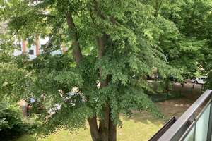 Schöne 3 Zimmer Wohnung mit Balkon, sofort anmietbar! – Wendische Str. 68, 23558 Sankt Lorenz Süd, Lübeck – Vorschaubild 11