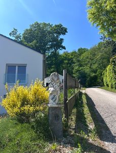 Lichtdurchflutet & großzügig - 4 Zi. Haus mit großem Grundstück