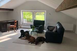 Charmante 1-Zimmer-Wohnung im Grünen – ideal für Naturliebhaber & Hundebesitzer