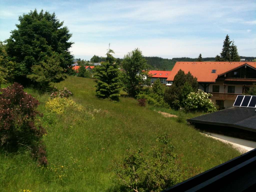 Immobilie in Oy-Mittelberg - Seltene Gelegenheit im Allgäu: Mehrfamilienhaus mit sofortigem Potenzial in begehrter Lage von Oy - Bild 3