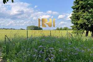 Einfamilienhaus mit großem Privatgarten & Feldblick – ruhig wohnen in Braunschweig-Schapen