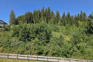 Etagenwohnung mit toller Aussicht, gehobene Qualität! – Die vollständige Adresse der Immobilie erhältst du vom Anbieter., 78141 Schönwald im Schwarzwald – Vorschaubild 24