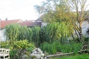 Ehemaliges Bauernhaus mit großem Garten – Die vollständige Adresse der Immobilie erhältst du vom Anbieter., 94342 Straßkirchen – Vorschaubild 14