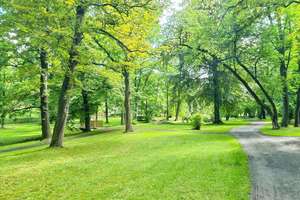 Kreis Leipzig: Gutshaus/Herrenhaus | Gute Rendite | Gartenidylle, Stellplätze! – Die vollständige Adresse der Immobilie erhältst du vom Anbieter., 4643 Geithain – Vorschaubild 12