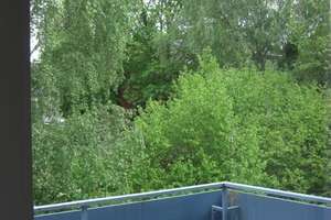 Lebendig wohnen in Aachen: 3-Zimmer-Wohnung mit Loggia u.  Balkon – Taubengasse 3, 52078 Forst, Aachen – Vorschaubild 3