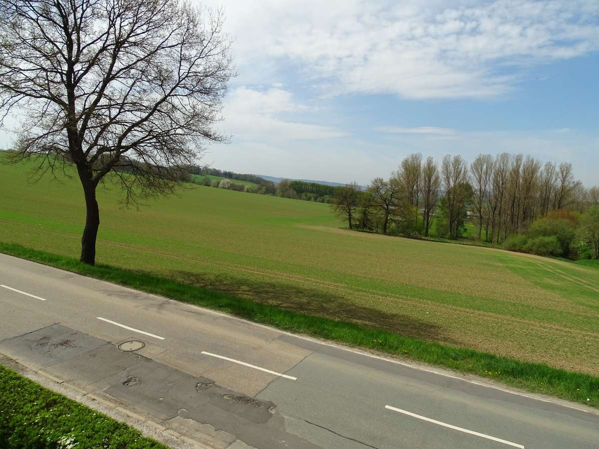 Ausblick