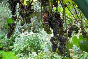 Property thumbnail 10