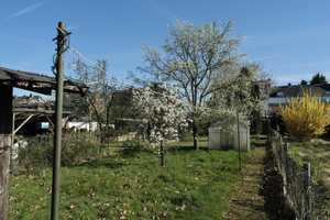 Historischer Charme, moderne Möglichkeiten – Einfamilienhaus mit Garten und Garage! – Viersen (Kreis) – Vorschaubild 13