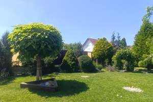 Zweifamilienhaus mit 302 m² Wohnfläche in Wildenberg – Die vollständige Adresse der Immobilie erhältst du vom Anbieter., 93359 Wildenberg – Vorschaubild 5
