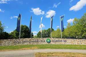 Architekten Villa mit Pool - uneinsehbarer Garten - direkt am Golfplatz und 350m zum Seddiner See – Potsdam-Mittelmark (Kreis) – Vorschaubild 56