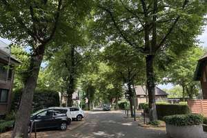 Wohnen in Grüner Allee in Sackgassenlage  – Die vollständige Adresse der Immobilie erhältst du vom Anbieter., 47198 Hochheide, Duisburg – Vorschaubild 7