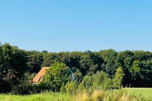Hundeparadies im Grünen - 107 m² - 3 Zi. - Wintergarten - eingezäunter Garten - Garage – Die vollständige Adresse der Immobilie erhältst du vom Anbieter., 32051 Herford – Vorschaubild 29