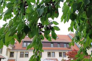 Property thumbnail 19