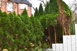 Property thumbnail 13