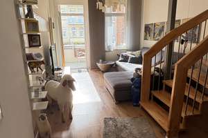 Property thumbnail 4