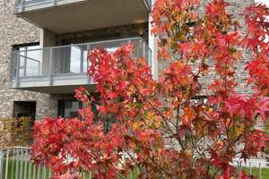 Property thumbnail 16