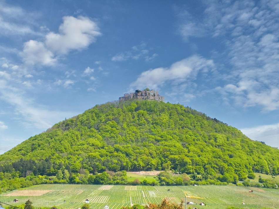 Ausblick