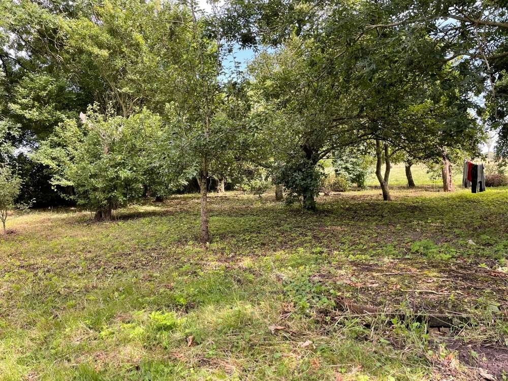 Haubarg Kornhof, Nordfriesland Kreis – Bild 3