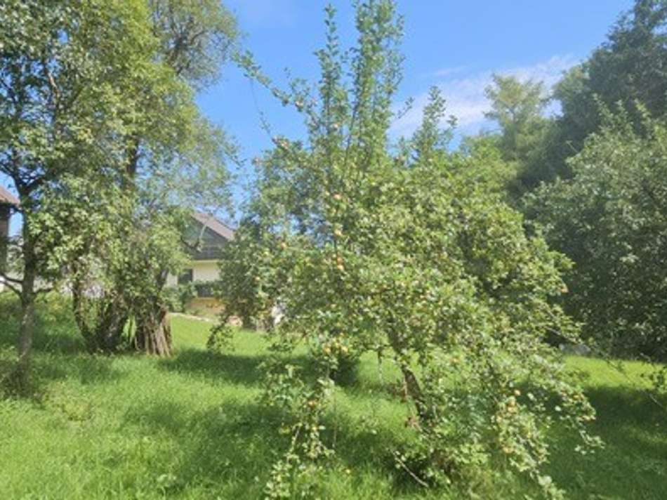 Gartensicht von der Seite