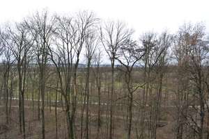 Property thumbnail 21