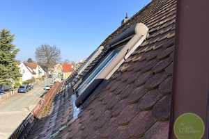 ** EIN-familienhaus Traum ** 5 Zimmer ** ca. 311 qm Grundstück ** Garten mit altem Baumbestand ** – Marloffsteiner Straße 82, 90411 Nürnberg – Vorschaubild 48
