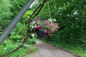 Von Privat: Charmantes und top gepflegtes Einfamilienhaus mit Weitblick und Garten in Birkenhördt – Die vollständige Adresse der Immobilie erhältst du vom Anbieter., 76889 Birkenhördt – Vorschaubild 4