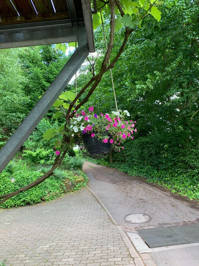 Immobilie in Birkenhördt - Von Privat: Charmantes und top gepflegtes Einfamilienhaus mit Weitblick und Garten in Birkenhördt - Bild 3