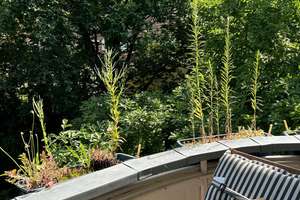 Stilvolle, sanierte 2-Zimmer-Wohnung mit Balkon und Einbauküche in Hannover – Die vollständige Adresse der Immobilie erhältst du vom Anbieter., 30159 Mitte (Ortsteil), Hannover – Vorschaubild 9