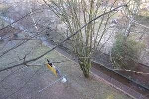 Wie wär´s mit uns? - Helle schicke 2-Raum mit Balkon in Schloßchemnitz – Pleißbachstr. 1, 9113 Schloßchemnitz, Chemnitz – Vorschaubild 11