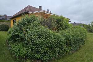 Haus mit Potential in ruhiger Lage nähe Aisch-Park-Center – Die vollständige Adresse der Immobilie erhältst du vom Anbieter., 91315 Höchstadt an der Aisch – Vorschaubild 5