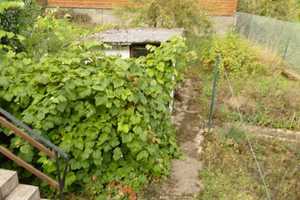 Geräumig und preisgünstig!!! – Sankt Wendel (Kreis) – Vorschaubild 8