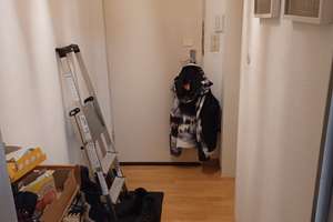 1-Zimmer-Apartment in Bestlage zur TU Darmstadt – Alexanderstraße 33, 64283 Mitte, Darmstadt – Vorschaubild 6