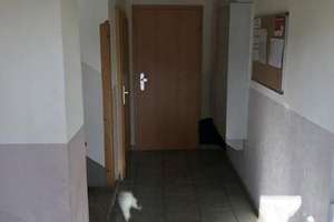 Gemütliche 1-Zimmer mit Laminat und offener Küche in ruhiger Lage!!!  – Florastraße 15, 9131 Hilbersdorf, Chemnitz – Vorschaubild 3