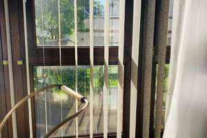 Michaela – Isenburgstraße 24, 40625 Gerresheim, Düsseldorf – Vorschaubild 11