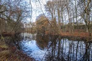 Property thumbnail 20