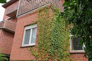 Stadthaus mit 2 Wohneinheiten und kleinem Stadtgarten – Die vollständige Adresse der Immobilie erhältst du vom Anbieter., 25554 Wilster – Vorschaubild 22