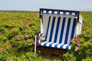 Property thumbnail 14