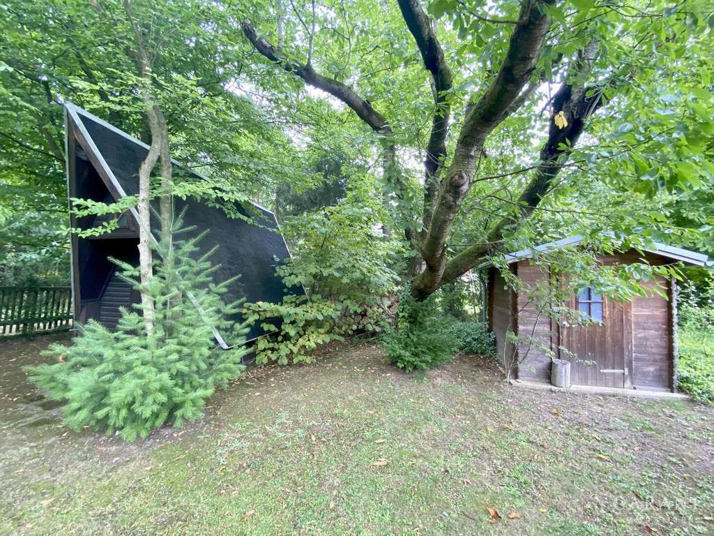 Immobilie in Colditz - Idyllisches Waldgrundstück mit Bungalow und Finnhütte nahe Grimma - Bild 4