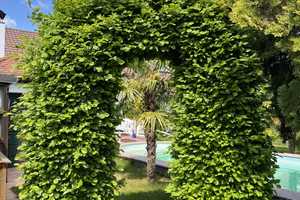 Von der Sonne verwöhnt: Elegantes EFH mit Südgarten, Pool, Garage! „In den Lüssen“! – Worms – Vorschaubild 52