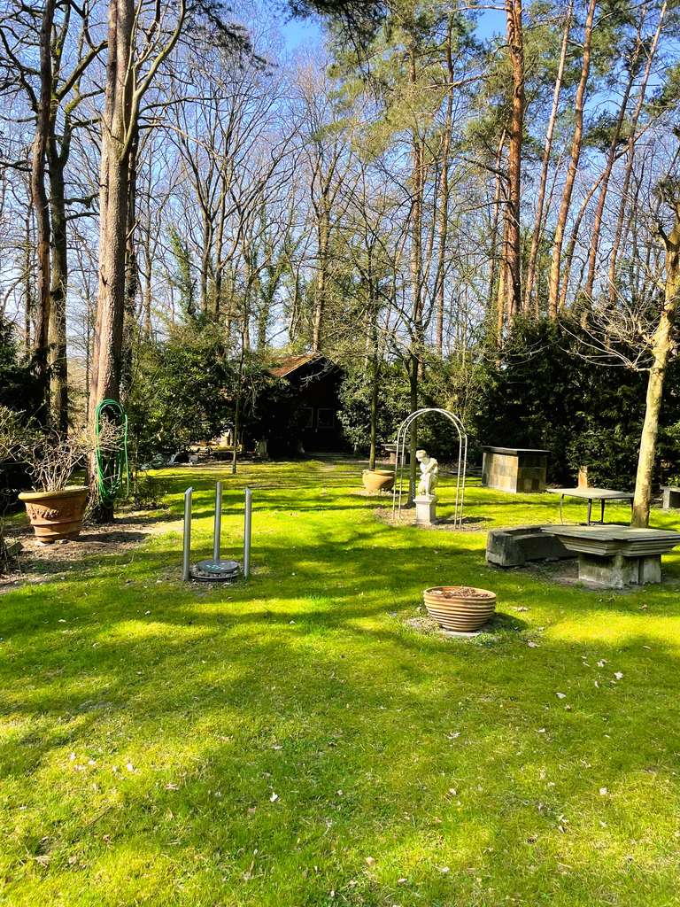 Immobilie in Telgte - Villa im großen Naturpark mit eigenem Wald - Bild 4