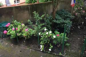 Helle, schöne und gepflegte Altbauwohnung mit Dielenfussboden und Einbauküche – Fockstrasse 26, 24114 Südfriedhof, Kiel – Vorschaubild 15